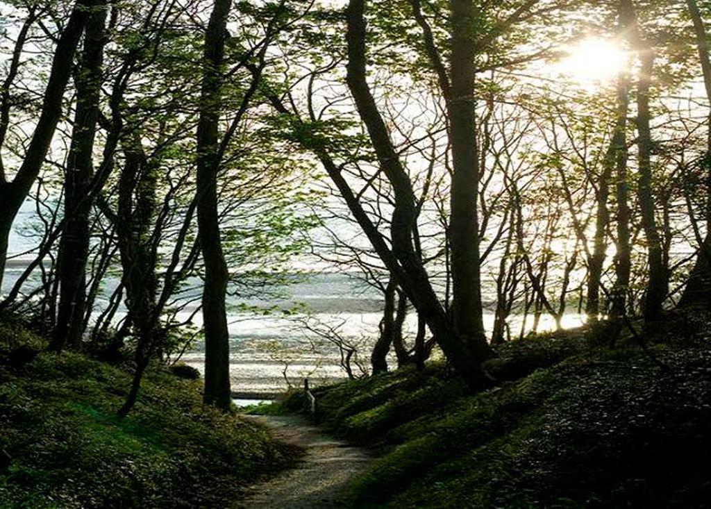 Priory Bay Hotel 시뷰 외부 사진